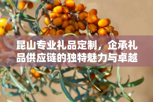 昆山专业礼品定制，企承礼品供应链的独特魅力与卓越服务